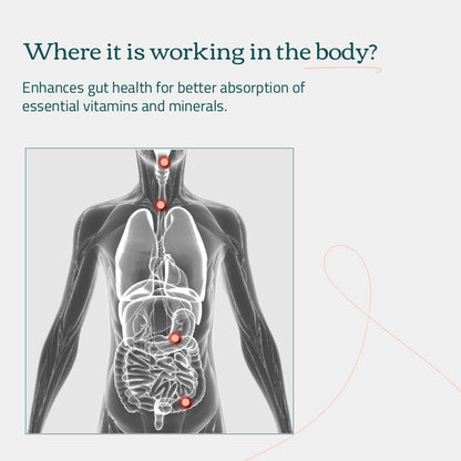 Rotational Vitamin Therapy